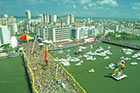 Galo da Madrugada domina o Recife  Foto de: Bernardo Soares